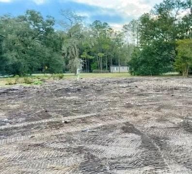 23031 JEROME ROAD LAND O LAKES, FL 34639