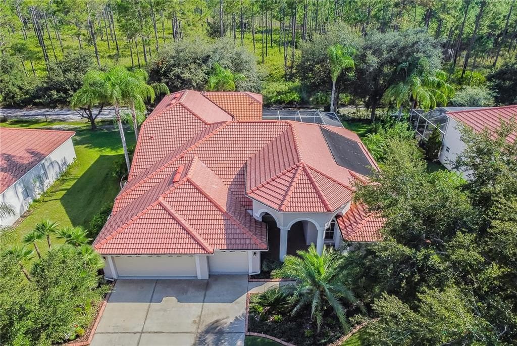 17852 ARBOR GREENE DRIVE TAMPA, FL 33647
