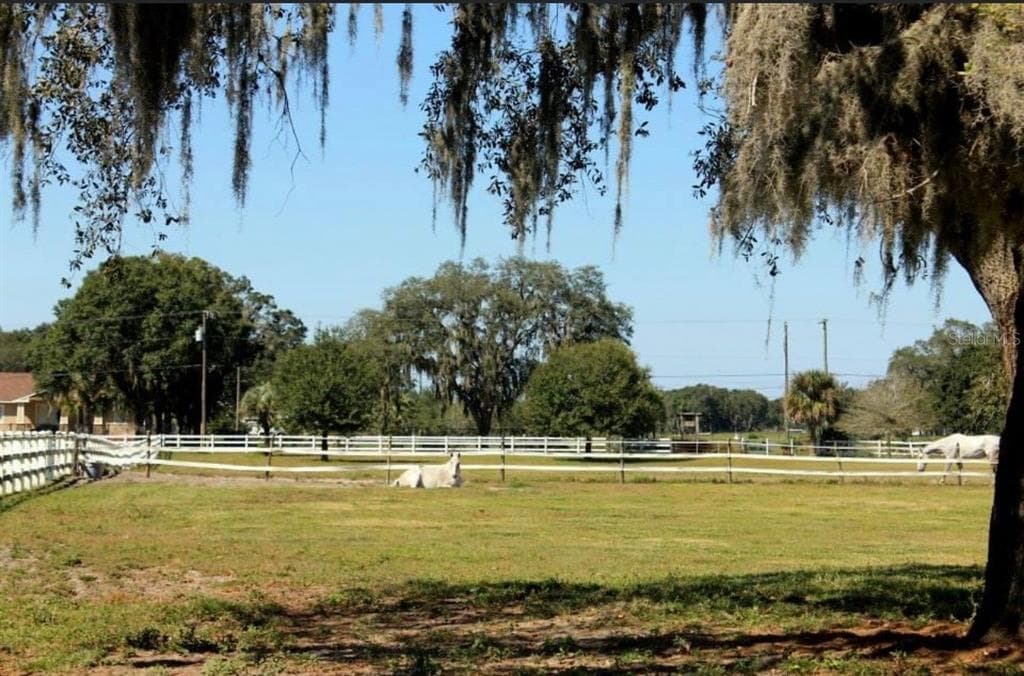 18603 TYLER ROAD ODESSA, FL 33556