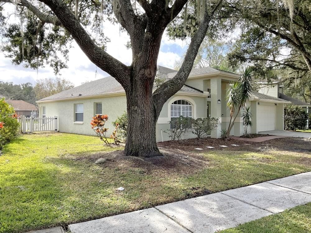 24314 PAINTER DRIVE LAND O LAKES, FL 34639