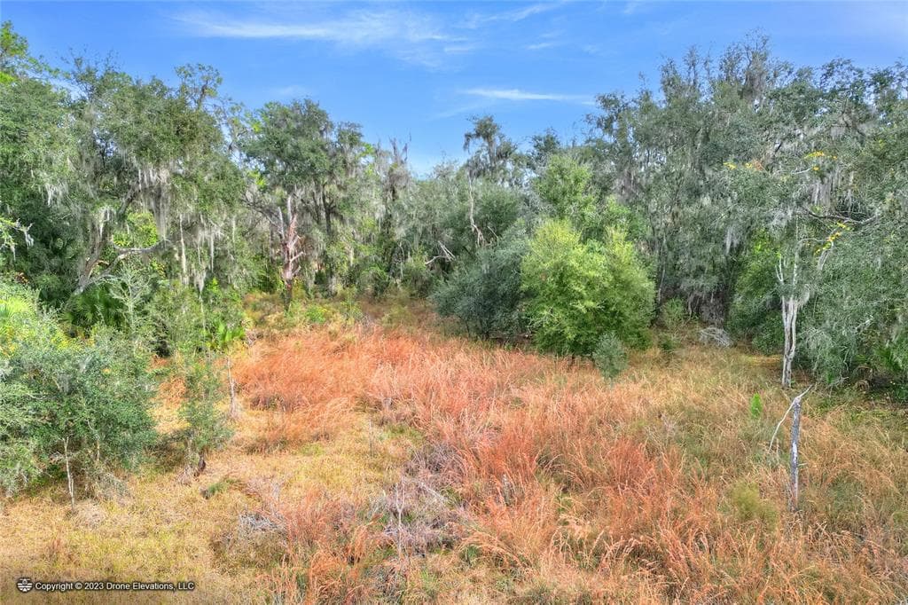 0 E KEYSVILLE ROAD LITHIA, FL 33547