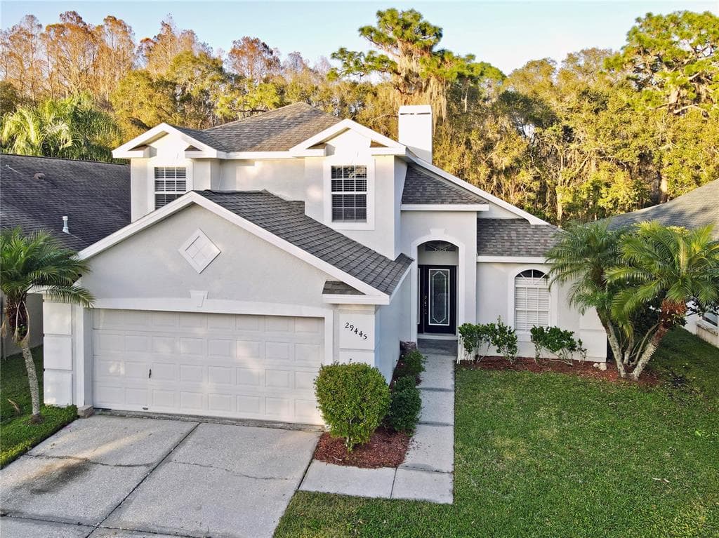 29445 BIRDS EYE DRIVE WESLEY CHAPEL, FL 33543