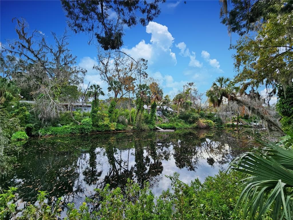 4234 ALAFIA BOULEVARD BRANDON, FL 33511