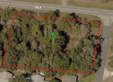 4024 S SKYLARK TERRACE HOMOSASSA, FL 34446