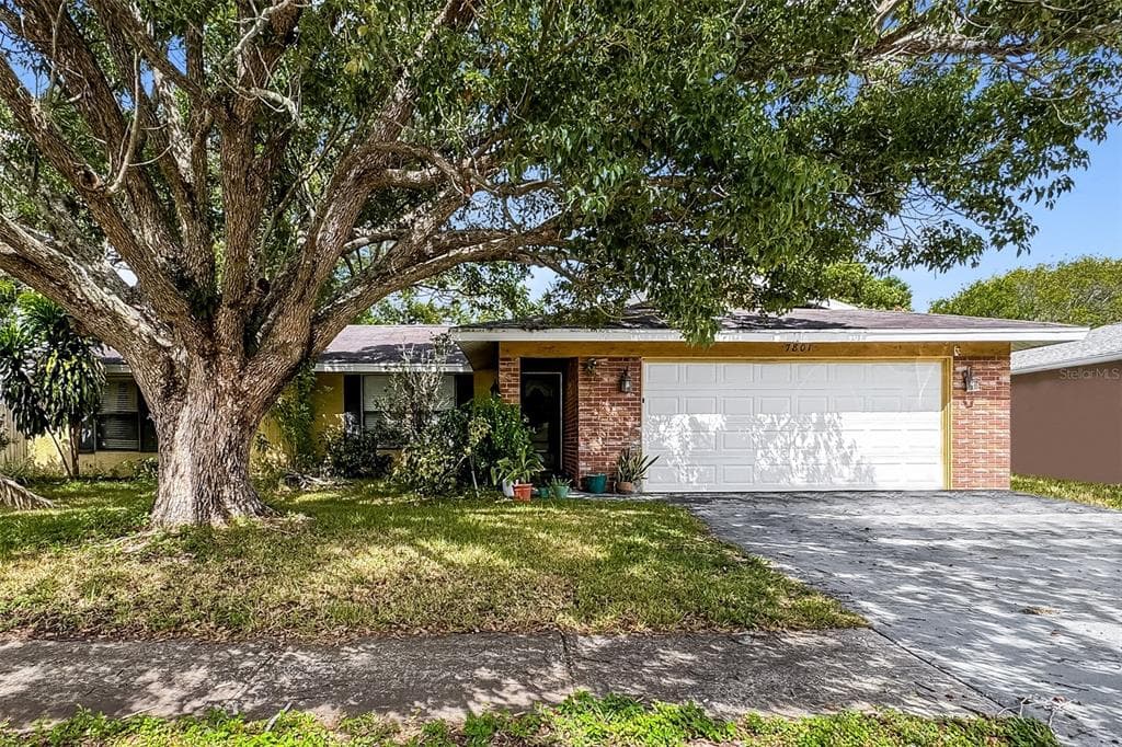 7801 GLENCOE DRIVE NEW PORT RICHEY, FL 34653