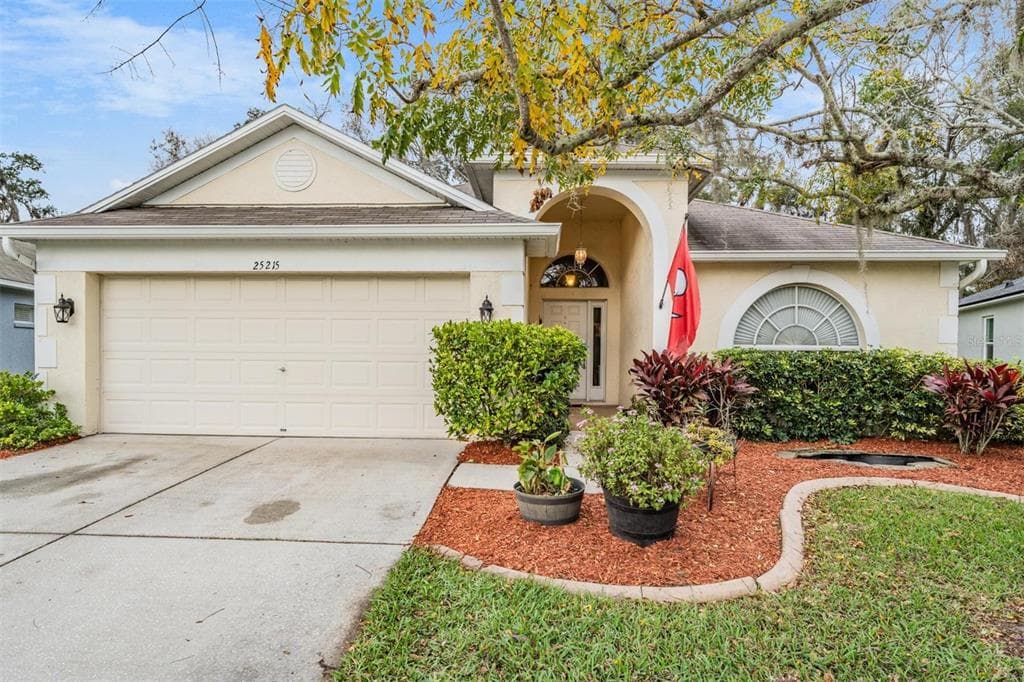 25215 GEDDY DRIVE LAND O LAKES, FL 34639