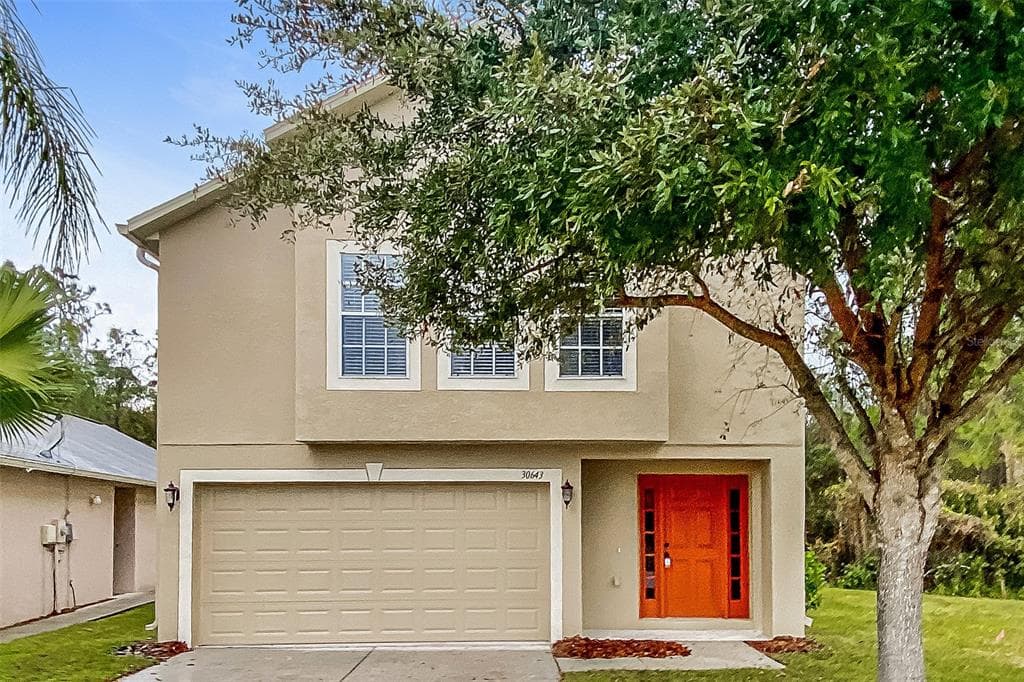 30643 BIRDHOUSE DRIVE WESLEY CHAPEL, FL 33545