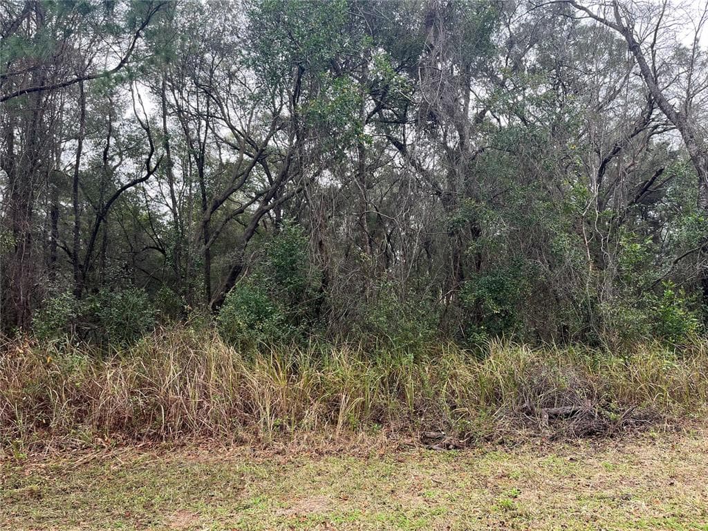 8415 N SARAZEN DRIVE CITRUS SPRINGS, FL 34434