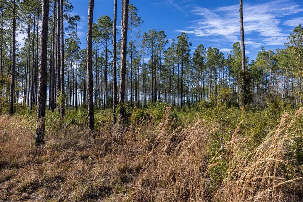 COUNTY ROAD 1469 EARLETON, FL 32631