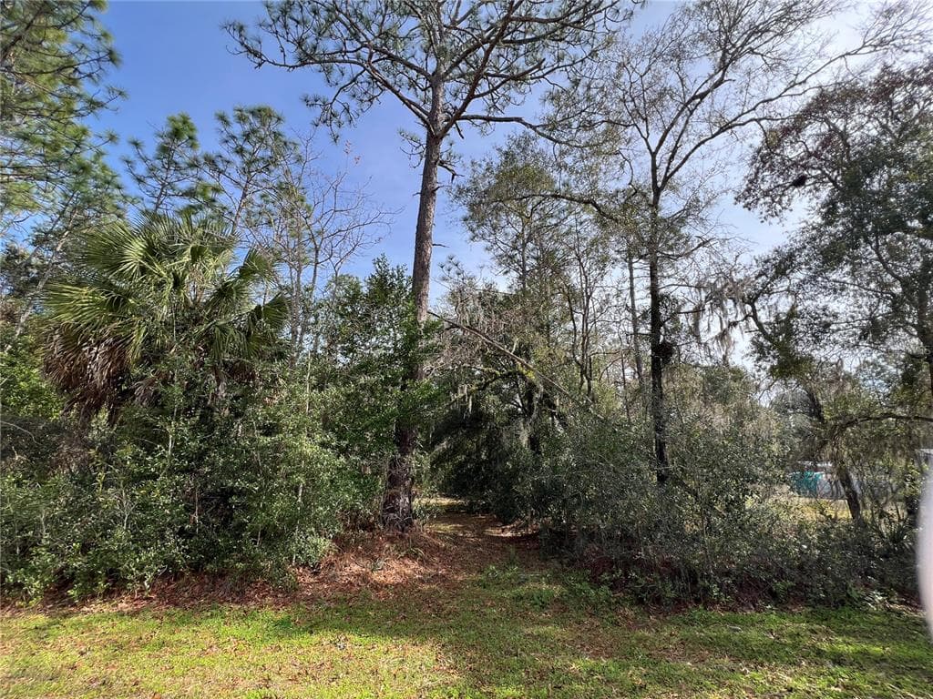 10220 W OHIO DRIVE CRYSTAL RIVER, FL 34428