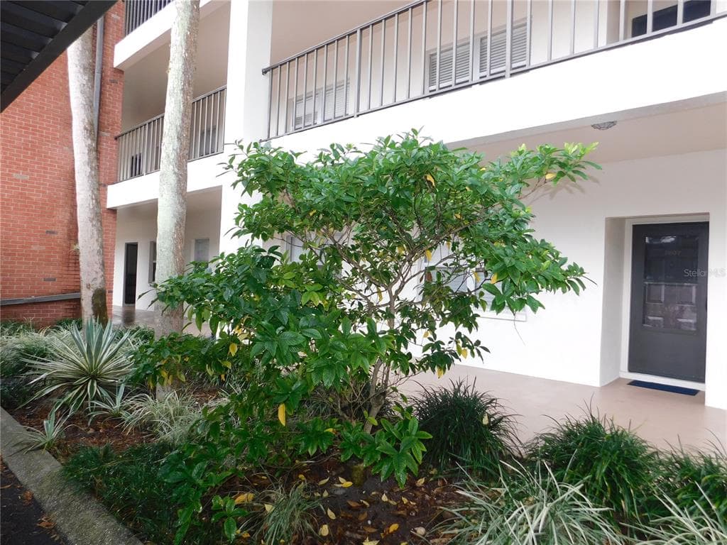 2438 ENTERPRISE ROAD UNIT 2619 CLEARWATER, FL 33763