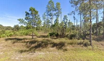1304 COLUMBUS AVENUE LEHIGH ACRES, FL 33972
