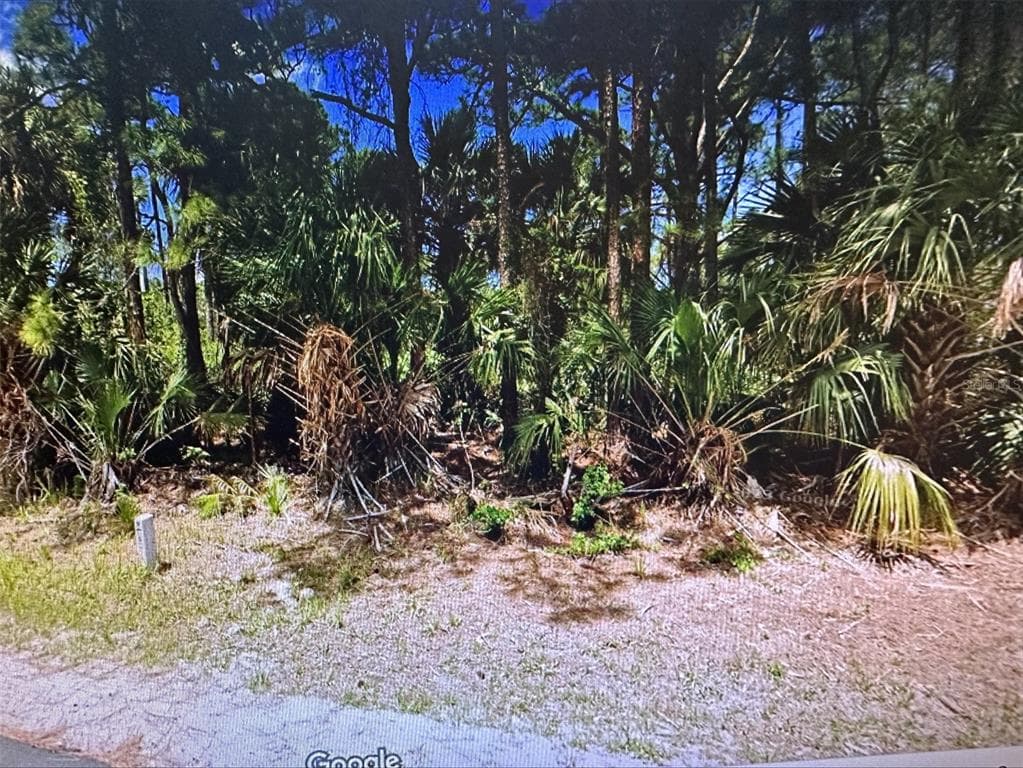 271 J T SANCHO STREET SW PALM BAY, FL 32908