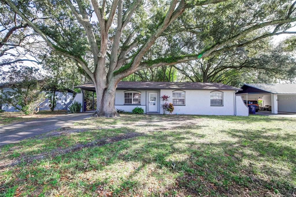 10805 N ASHLEY STREET TAMPA, FL 33612
