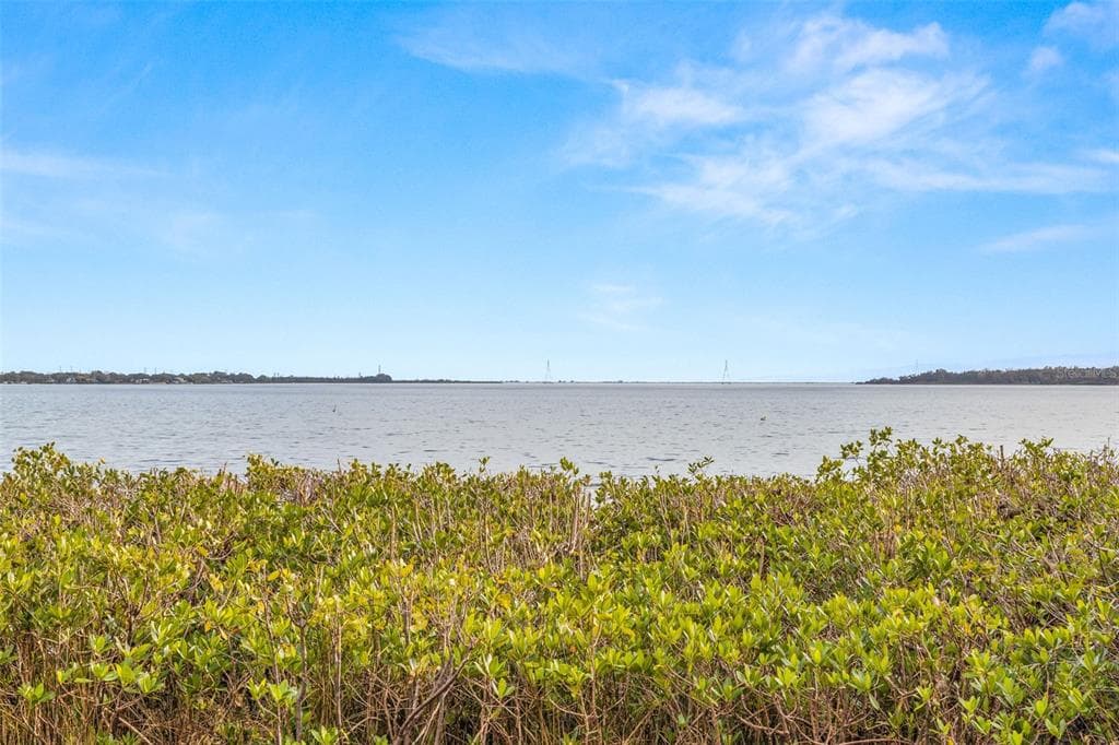 3773 SHORE BOULEVARD OLDSMAR, FL 34677