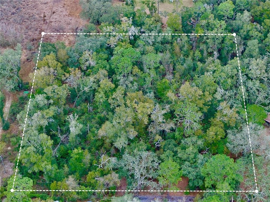 COUNTY ROAD 683D-1 WEBSTER, FL 33597