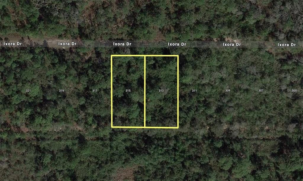 315 IXORA DRIVE INDIAN LAKE ESTATES, FL 33855