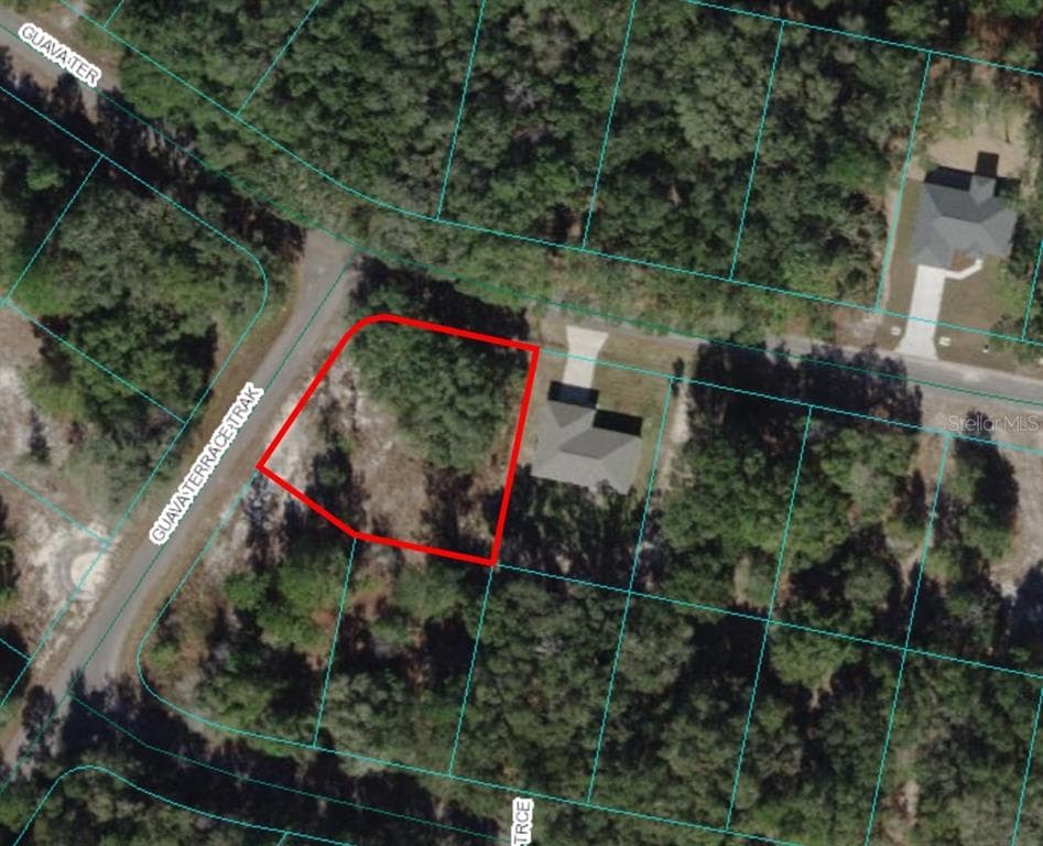 GUAVA TERRACE OCKLAWAHA, FL 32179