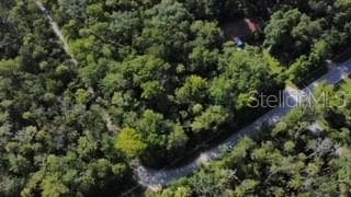 10234 W FAYETTE STREET HOMOSASSA, FL 34448
