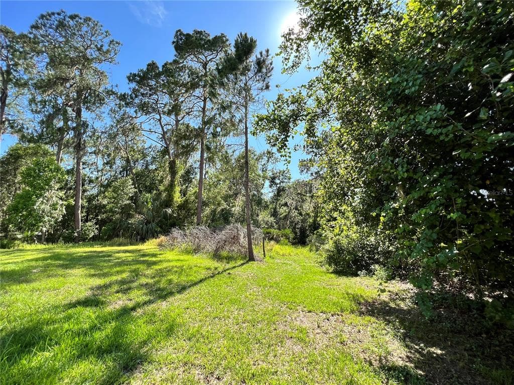 901 SHOALS LANDING DRIVE BRANDON, FL 33511