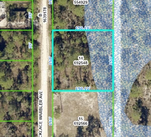 0 NECKLACE WARBLER AVENUE WEEKI WACHEE, FL 34614