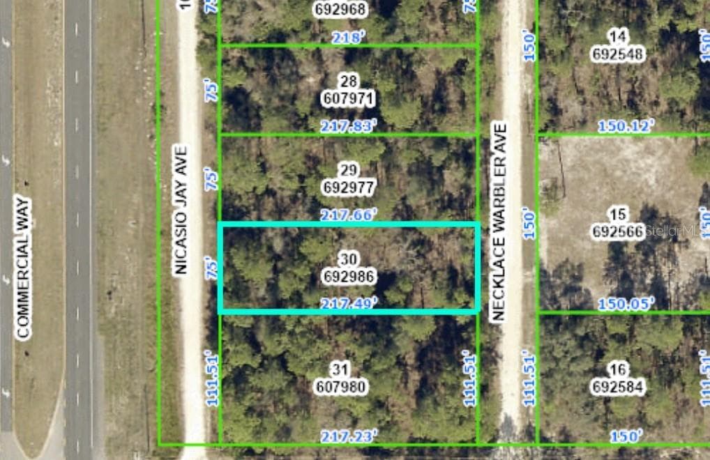 0 NECKLACE WARBLER AVENUE WEEKI WACHEE, FL 34614