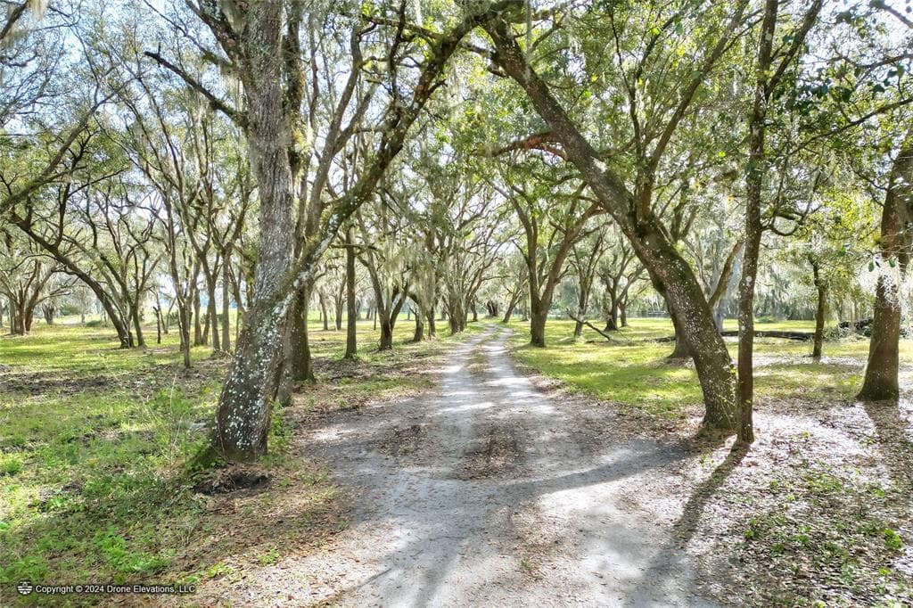 12454 BROWNS BERRY ROAD DOVER, FL 33527