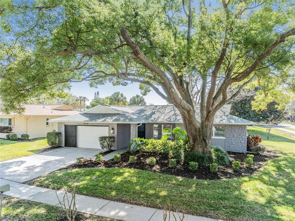 2802 CAMERON COURT PALM HARBOR, FL 34684