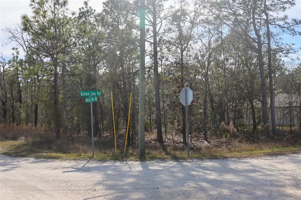 15251 GREEN JAY ROAD BROOKSVILLE, FL 34614