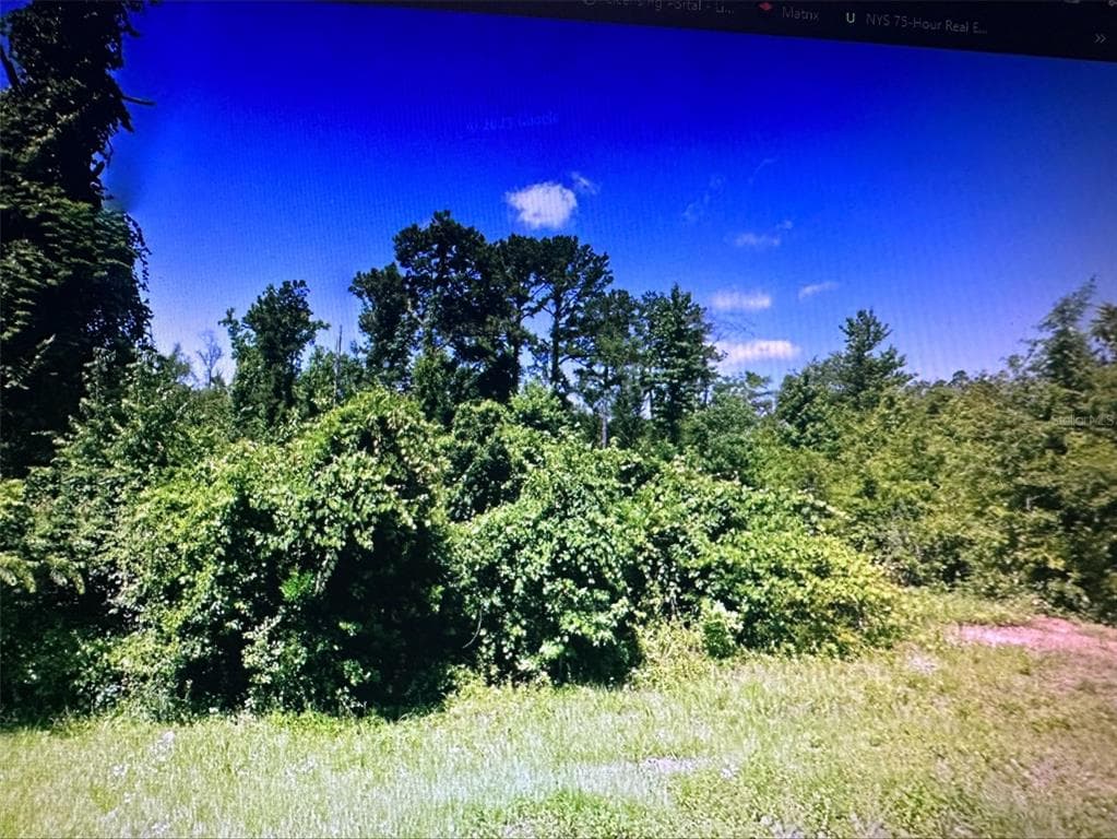 5591 BONNIE HILL ROAD CHATTAHOOCHEE, FL 32324