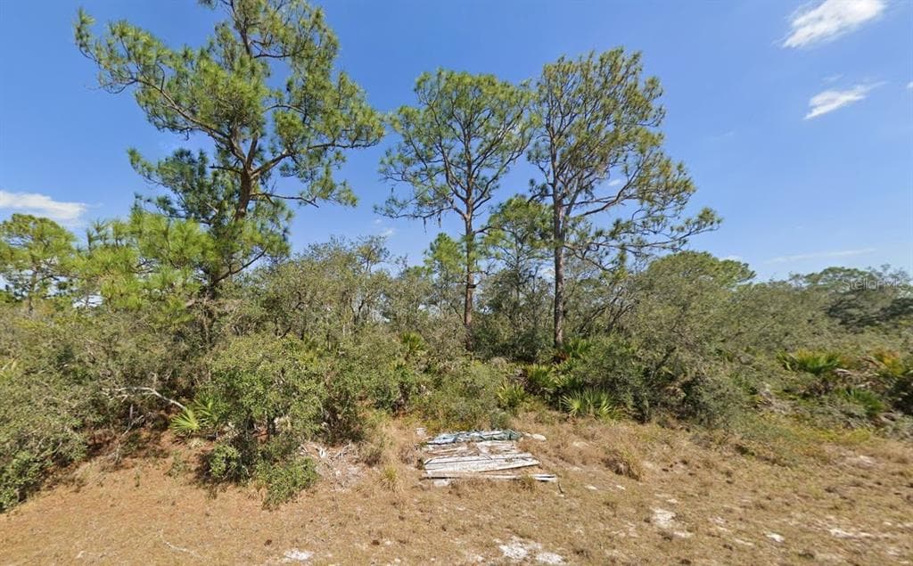 1231 POPINJAY AVENUE LAKE PLACID, FL 33852