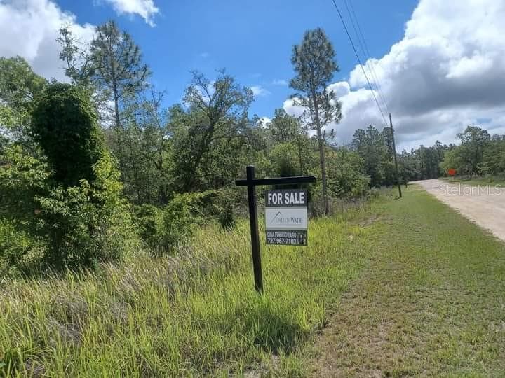 13111 ROBIN AVENUE WEEKI WACHEE, FL 34614
