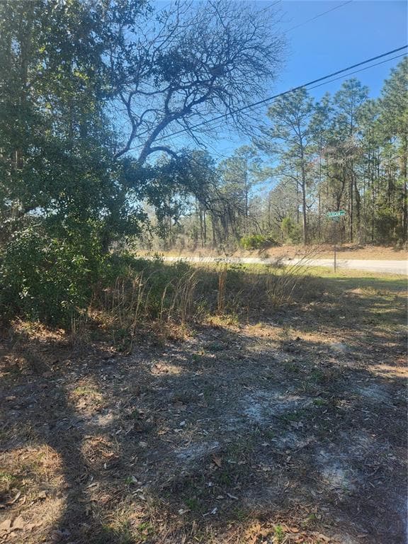 2776 W MADRID STREET CITRUS SPRINGS, FL 34434