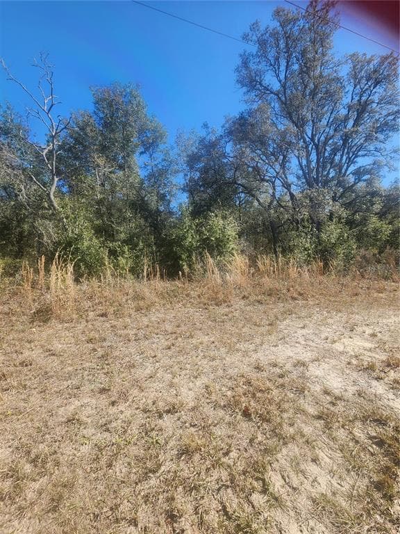 9019 N ELKCAM BOULEVARD CITRUS SPRINGS, FL 34433