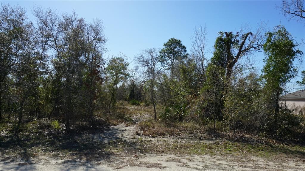 13112 JOHNATHAN DRIVE WEEKI WACHEE, FL 34614