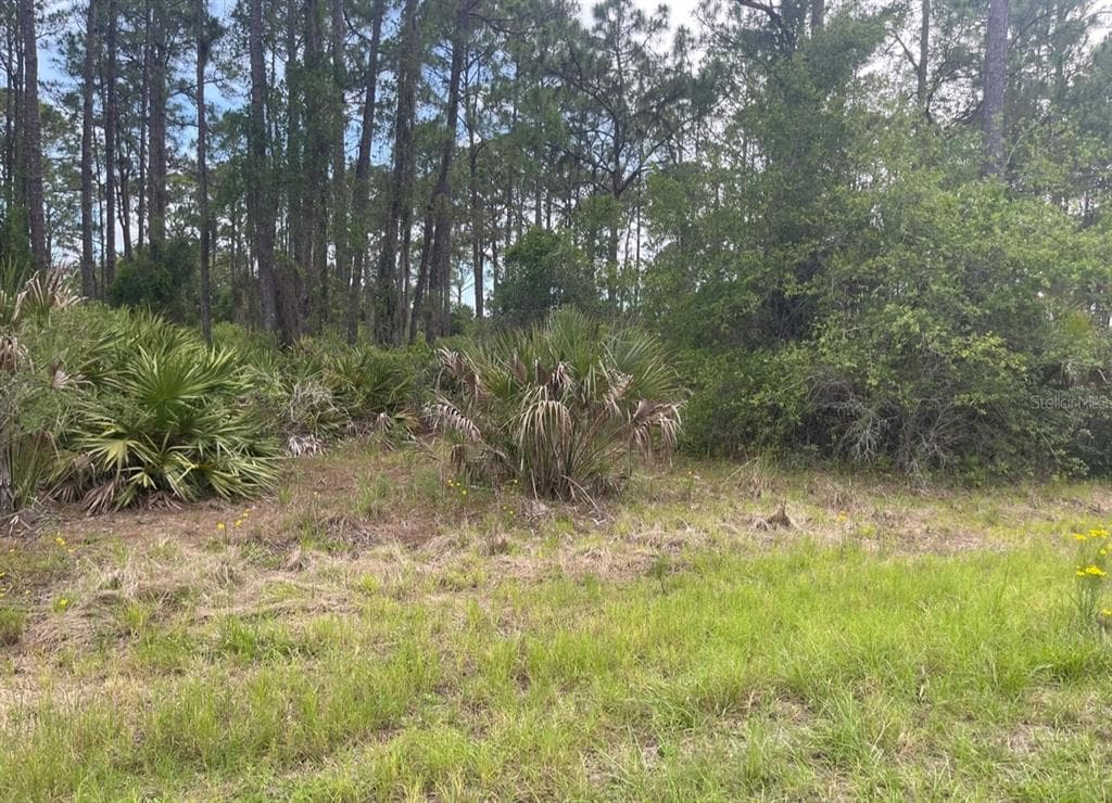 0954126609 AVERETTE AVENUE NORTH PORT, FL 34291