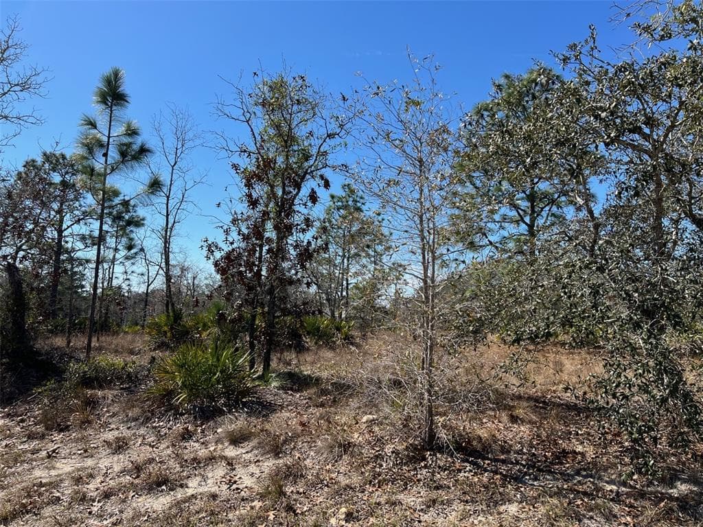 10 SMILAX COURT S HOMOSASSA, FL 34446