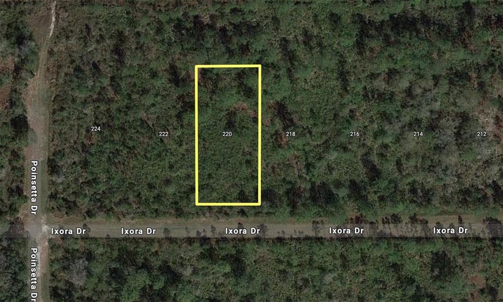 220 IXORA DRIVE INDIAN LAKE ESTATES, FL 33855