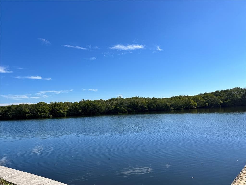 658 MOUNT OAK AVENUE NE UNIT 730 ST PETERSBURG, FL 33702