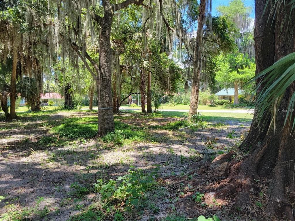 LOT 1 NW 217TH ST MICANOPY, FL 32667