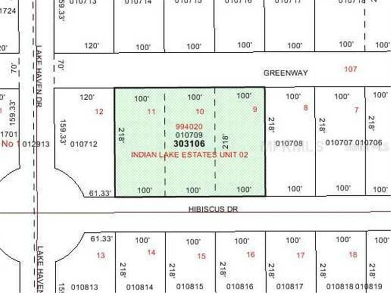 518 HIBISCUS DRIVE INDIAN LAKE ESTATES, FL 33855
