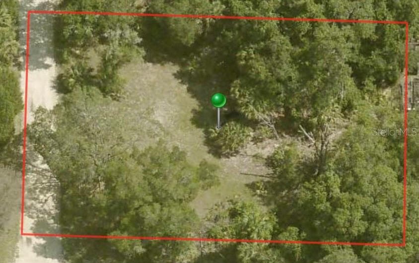 11411 N MOONLIGHT TERRACE INGLIS, FL 34449