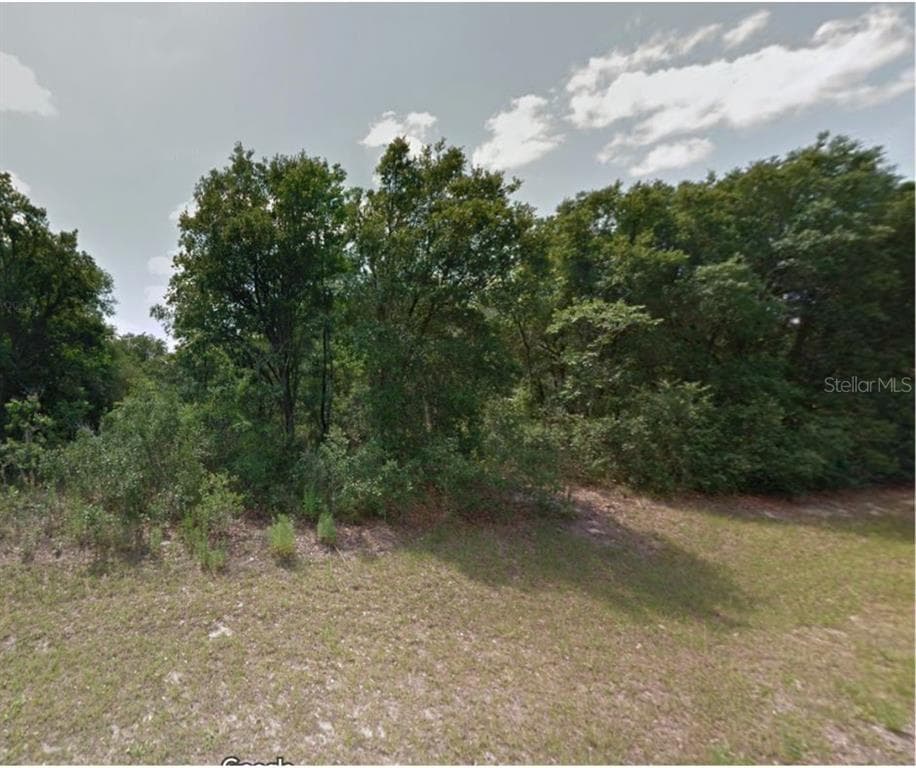 7897 N FIELDSTONE DRIVE CITRUS SPRINGS, FL 34433