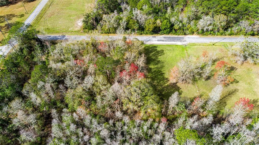 4925 S MORNINGSIDE TERRACE HOMOSASSA, FL 34446