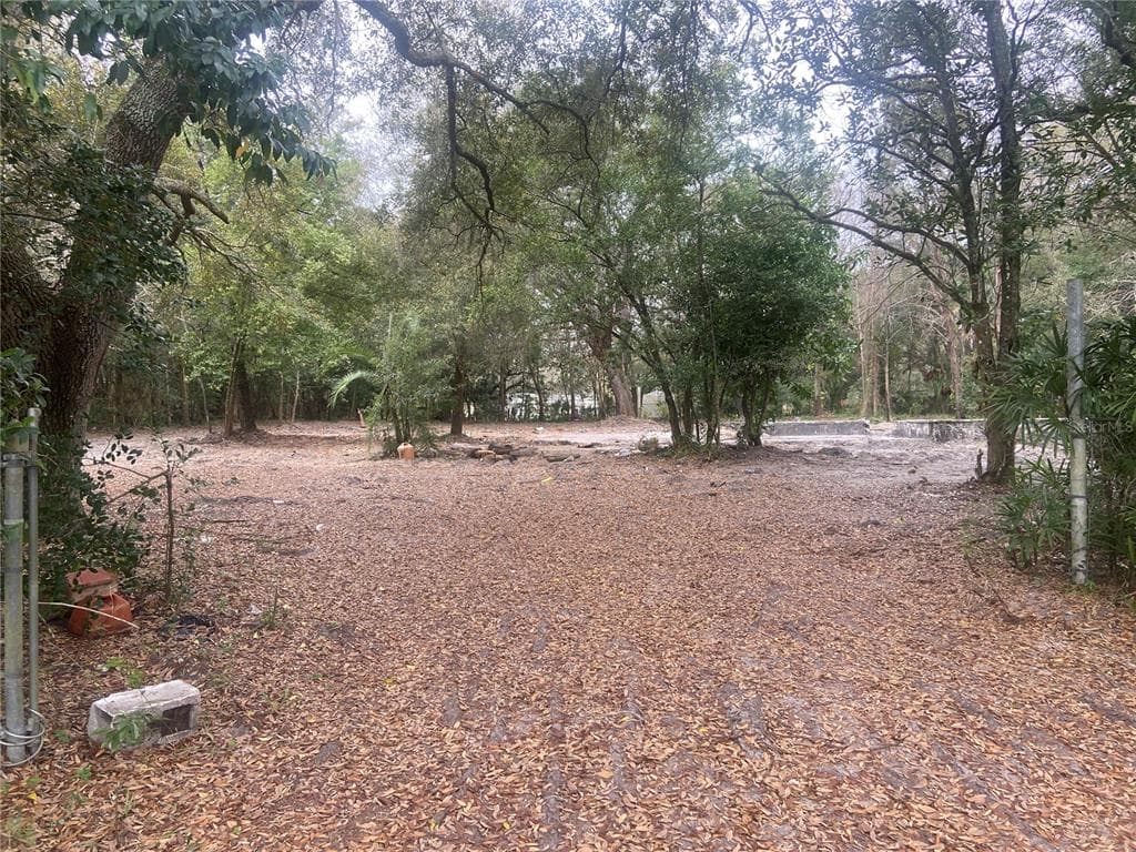 9935 E FOWLER AVENUE THONOTOSASSA, FL 33592