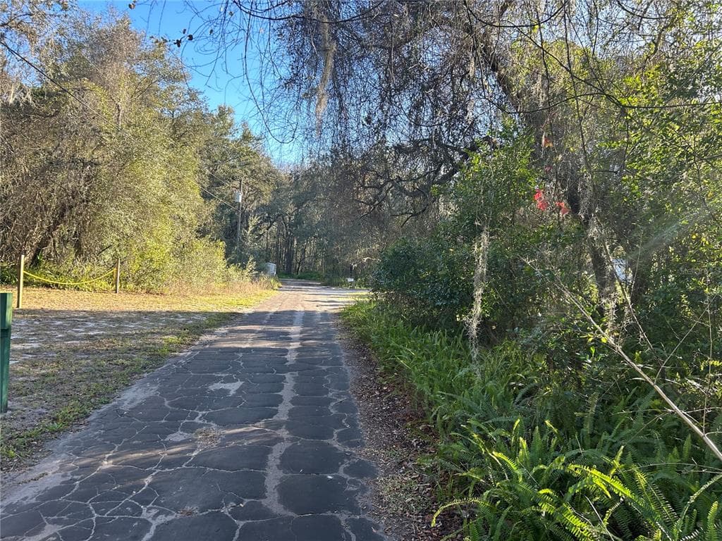 PANA STREET NEW PORT RICHEY, FL 34654