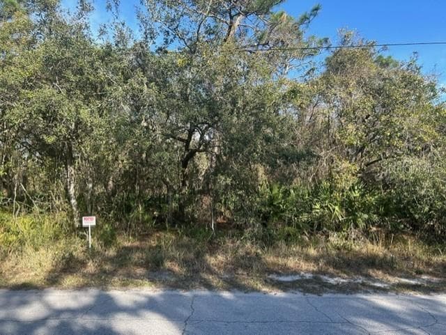 RED OAK LOOP NEW PORT RICHEY, FL 34654