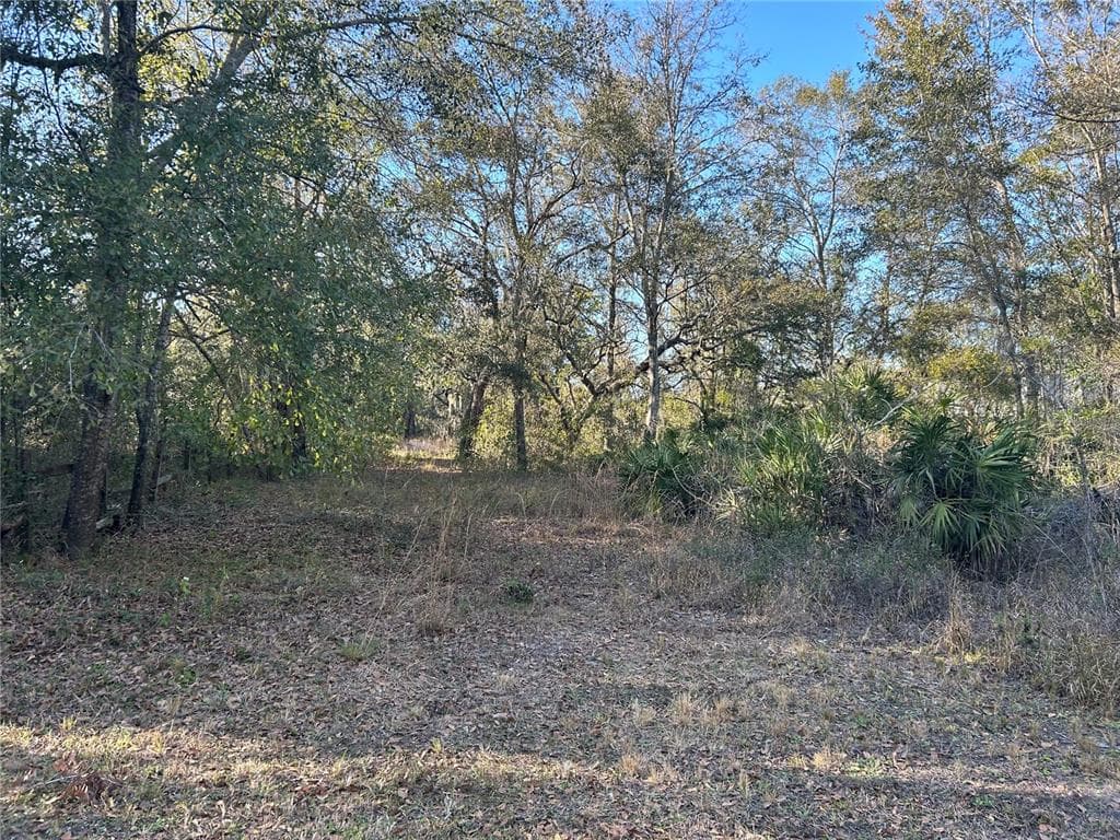 CHIPLEY STREET NEW PORT RICHEY, FL 34654