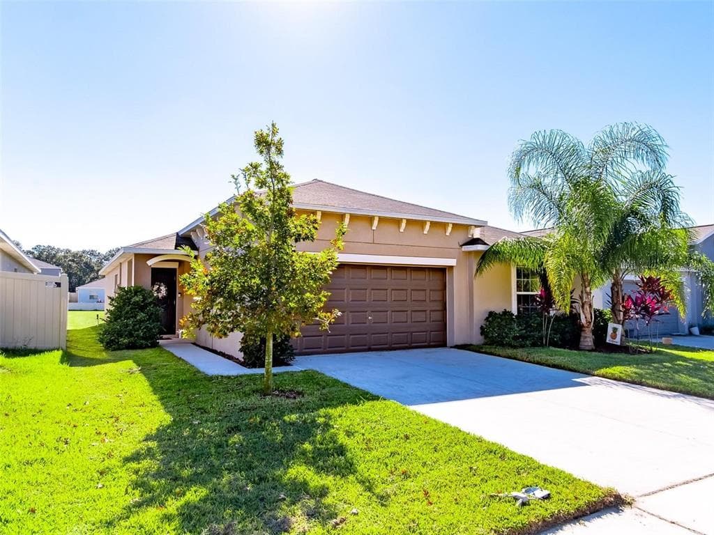 10243 STRAWBERRY TETRA DRIVE RIVERVIEW, FL 33578