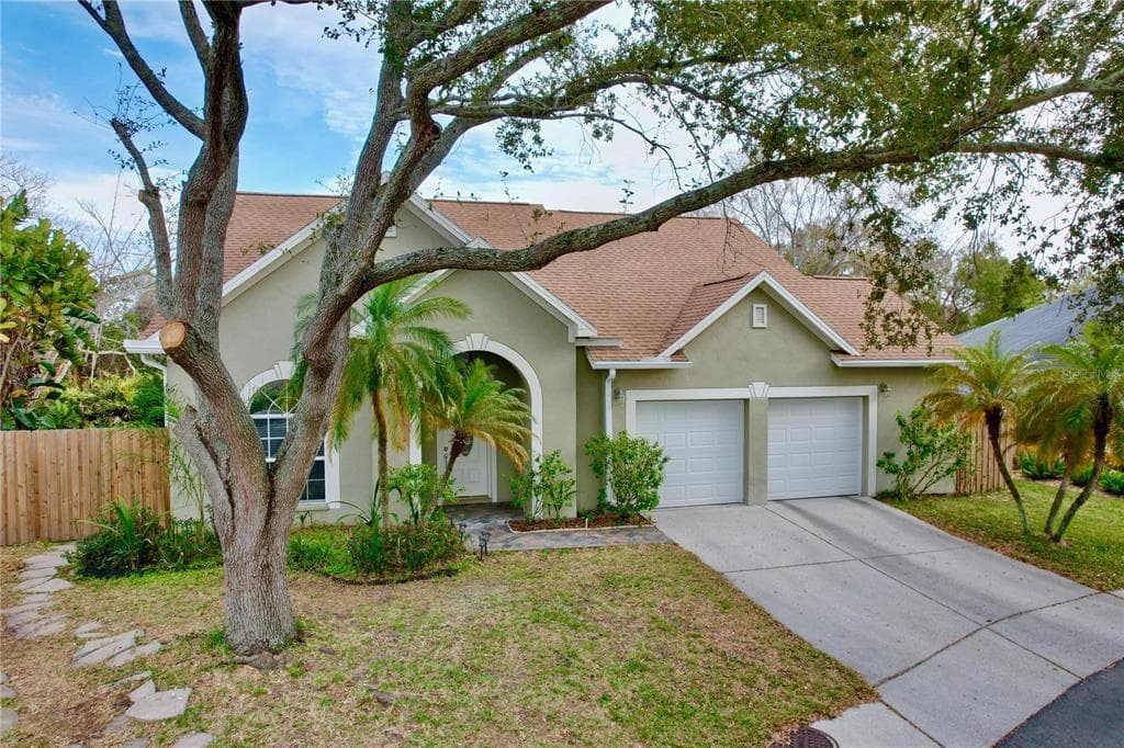 8831 CYPRESS HAMMOCK DRIVE TAMPA, FL 33614